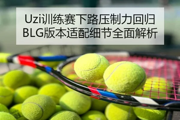 Uzi训练赛下路压制力回归BLG版本适配细节全面解析